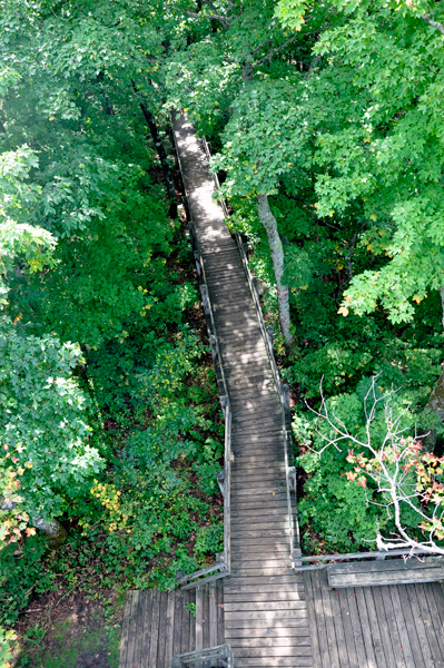 the boardwalk below the observation tower